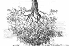 SLDT_2013.12-ALBERO-ROVESCIO