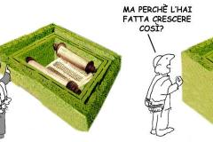 3_20_1-SIEPE-DI-PROTEZIONE-BIS